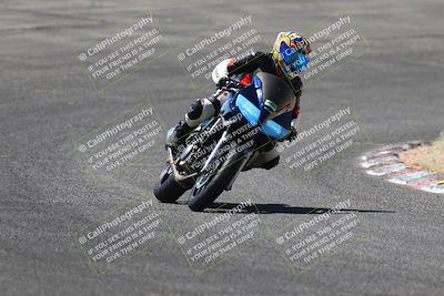 media/Jul-08-2023-2WTD (Sat) [[c8c0d2e149]]/C Group/1040am (Turn 3)/